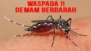 Musim Hujan, Dinkes Imbau Waspada DBD