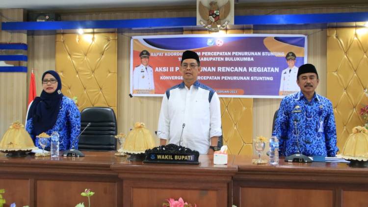 Wabup Edy Manaf Buka Perencanaan Penurunan Stunting Bulukumba 