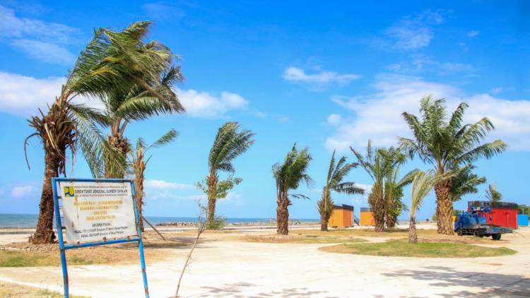 Percantik Pantai Merpati, DLHK Tanami Pohon Sawit