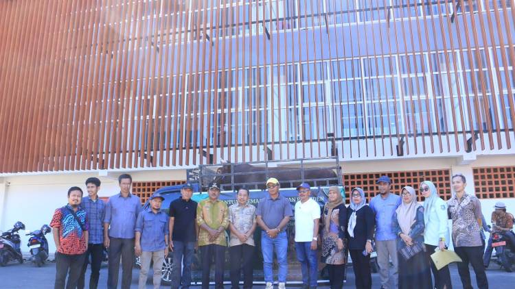Bupati Andi Utta Serahkan Sapi Kurban Bantuan Presiden RI Seharga Rp77 Juta