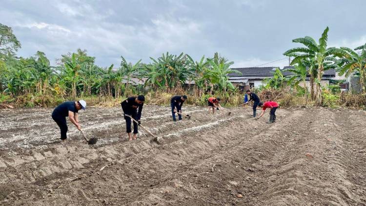 Manfaatkan Pekarangan, BPBD dan SKB Olah Lahan Lebih Produktif