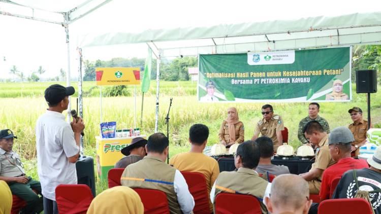 Panen Raya di Bontoharu, Bupati Andi Utta Tekankan Pentingnya Ketahanan Pangan dan Modernisasi Pertanian