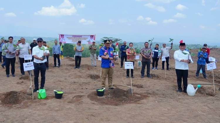 Tanam Pisang di Sinjai, Pj Gubernur Bahtiar : Rupanya Bupati Bulukumba Jadi Investor di Sinjai