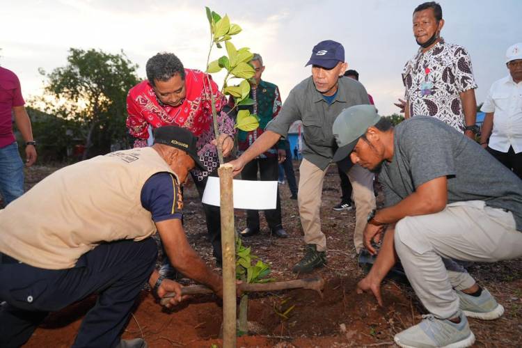 Tanam Bibit Nangka Madu di Bulukumba, Pj Gubernur Bahtiar: Jangan Biarkan Lahan Kosong