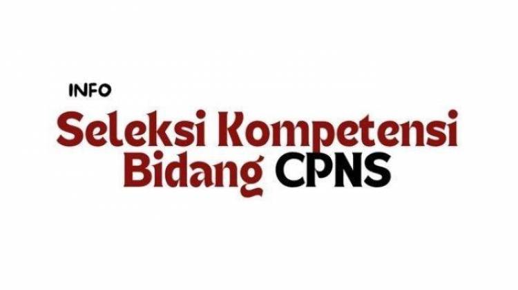 PENGUMUMAN HASIL SELEKSI KOMPETENSI DASAR DAN PESERTA YANG BERHAK MENGIKUTI SELEKSI KOMPETENSI BIDANG PENGADAAN CPNS PEMERINTAH KABUPATEN BULUKUMBA TAHUN ANGGARAN 2024