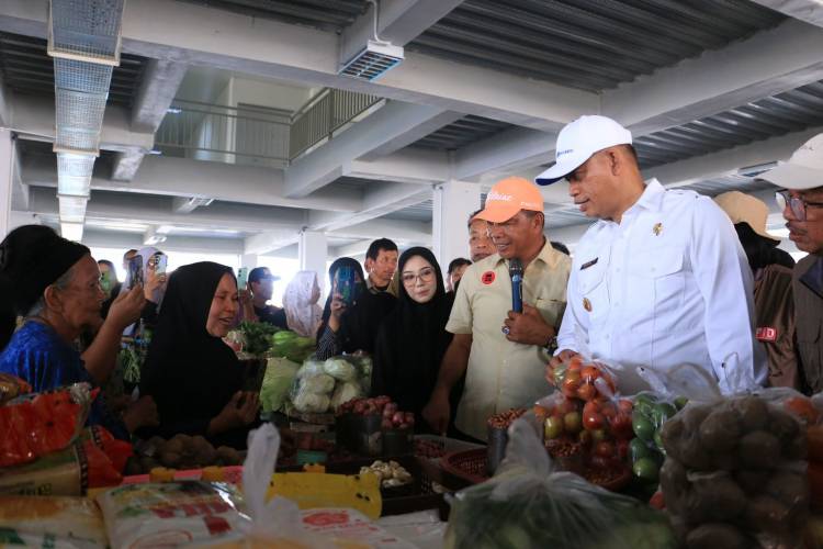 Pj Gubernur Prof Fadjry Djufry Tinjau Pasar Sentral Bulukumba, Revitalisasi Dorong Pertumbuhan Ekonomi Daerah