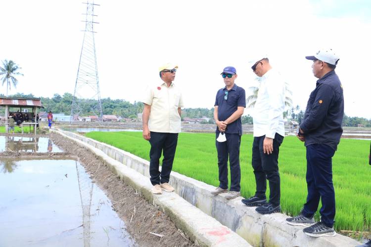 Pj Gubernur Prof Fadjry Djufry, Tinjau Bangunan Irigasi Pracetak