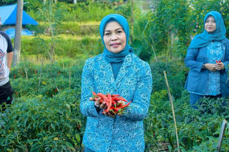 Usai Lantik TP PKK Bulukumpa, Andi Herfida Kunjungi Lokasi Gemoih di Desa Bulo Bulo