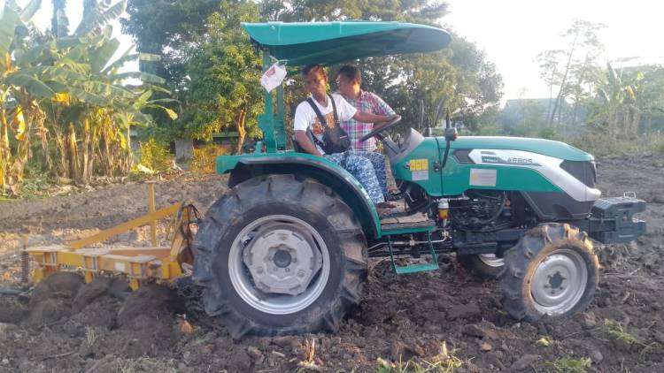 Manfaatkan Pekarangan, BPBD dan SKB Olah Lahan Lebih Produktif