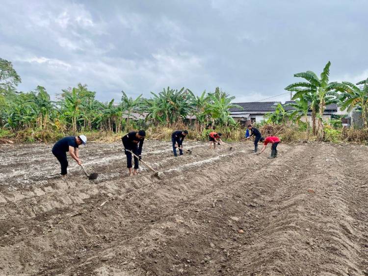 Manfaatkan Pekarangan, BPBD dan SKB Olah Lahan Lebih Produktif