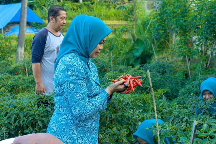 Inovasi GEMOIH Bersaing Kompetisi Internasional Sektor Publik COPSI Award 2025