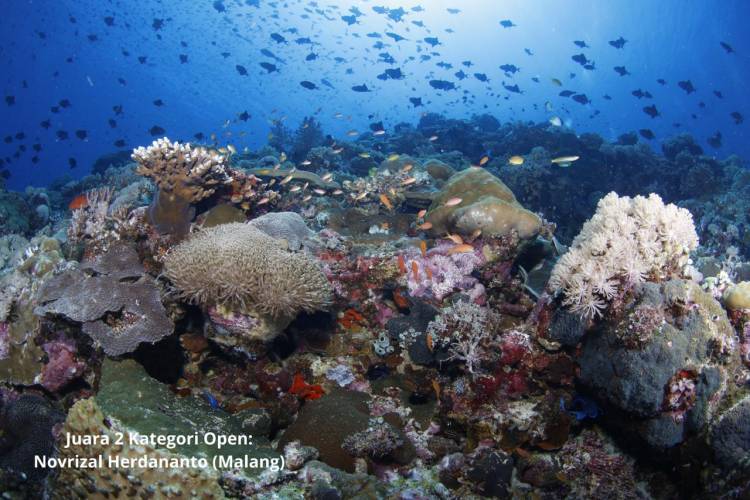 Bupati Andi Utta Tutup Bulukumba Underwater Photography International Competition