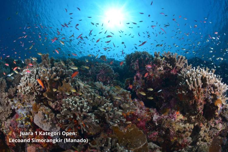Bupati Andi Utta Tutup Bulukumba Underwater Photography International Competition