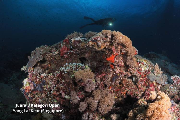 Bupati Andi Utta Tutup Bulukumba Underwater Photography International Competition