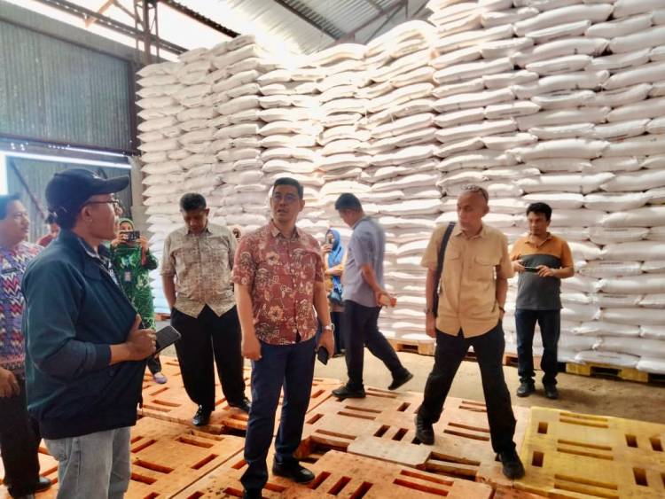 Pastikan Pupuk Murah untuk Petani Bulukumba, Wabup Edy Manaf Cek Gudang Stok