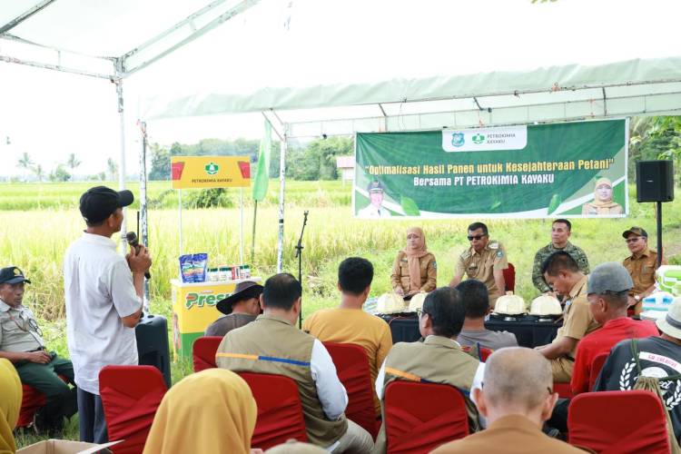Panen Raya di Bontoharu, Bupati Andi Utta Tekankan Pentingnya Ketahanan Pangan dan Modernisasi Pertanian