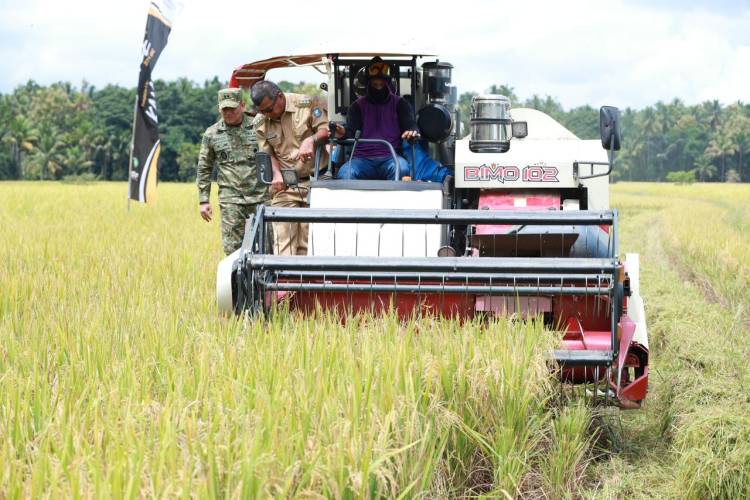 Panen Raya di Bontoharu, Bupati Andi Utta Tekankan Pentingnya Ketahanan Pangan dan Modernisasi Pertanian