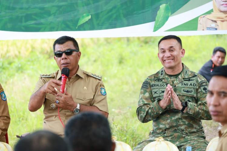 Panen Raya di Bontoharu, Bupati Andi Utta Tekankan Pentingnya Ketahanan Pangan dan Modernisasi Pertanian