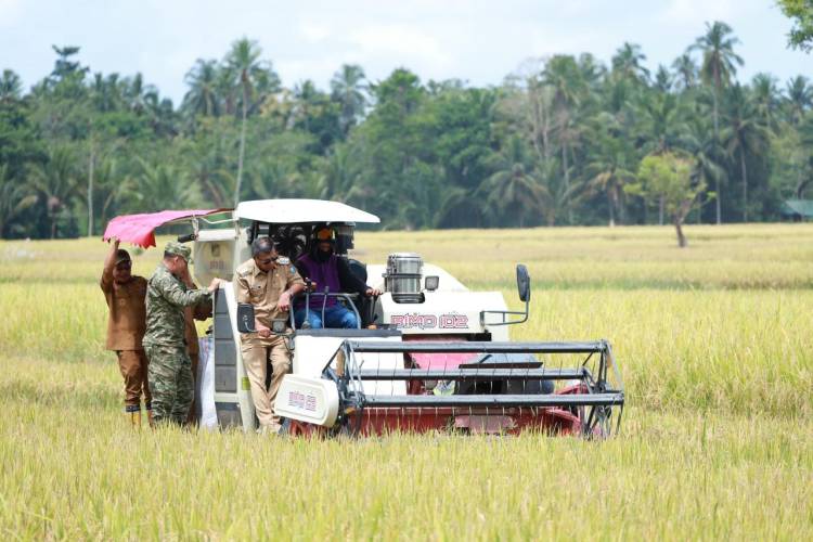 Panen Raya di Bontoharu, Bupati Andi Utta Tekankan Pentingnya Ketahanan Pangan dan Modernisasi Pertanian