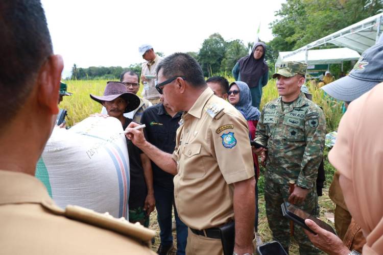 Panen Raya di Bontoharu, Bupati Andi Utta Tekankan Pentingnya Ketahanan Pangan dan Modernisasi Pertanian