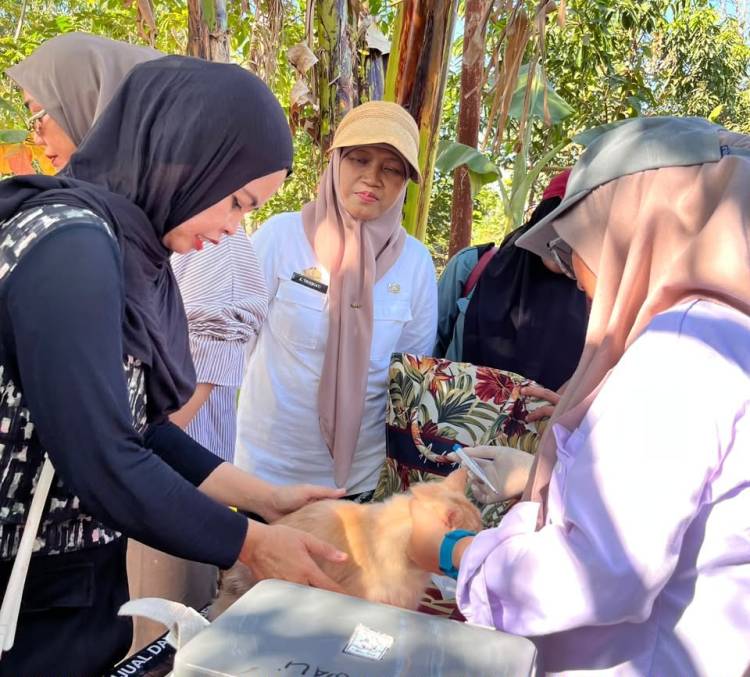 Jambore Pelayanan Publik Gantarang Hadirkan Layanan Kesehatan Hewan, Sapi hingga Kucing Dilayani